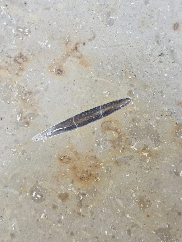 A belemnite fossil in the floor of Grand Arcade.