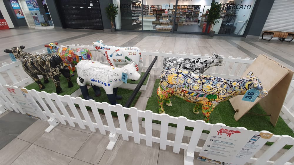 Cambridge cows