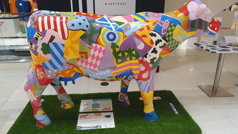Cambridge cows