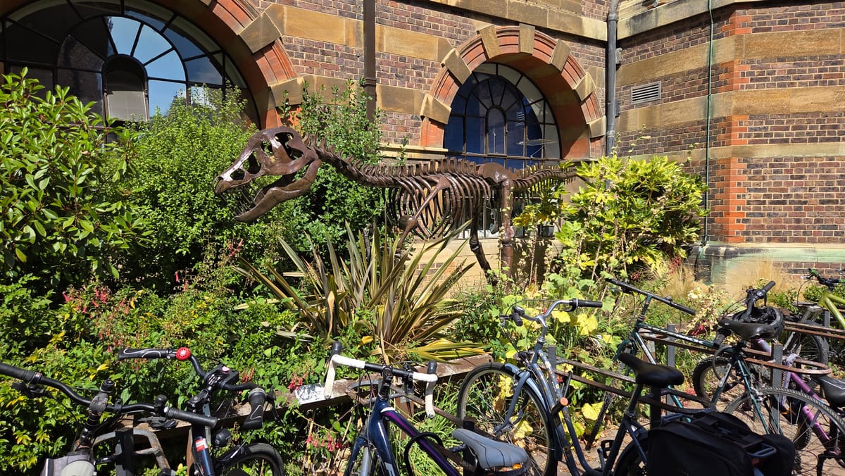 A dinosaur out in the planting, sharing its corner with the bicycles A dinosaur out in the planting, sharing its corner with the bicycles