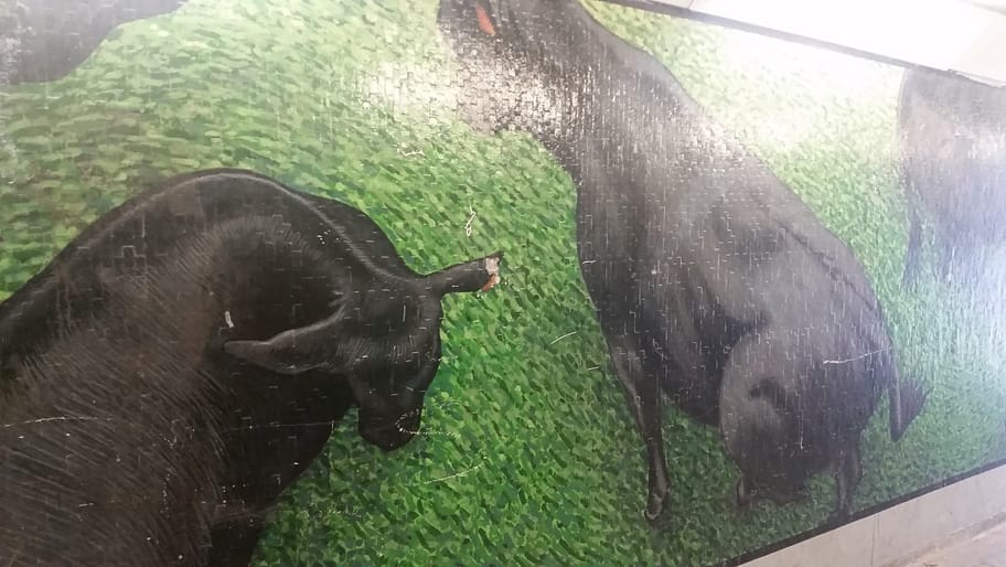 Newmarket road subway mural
