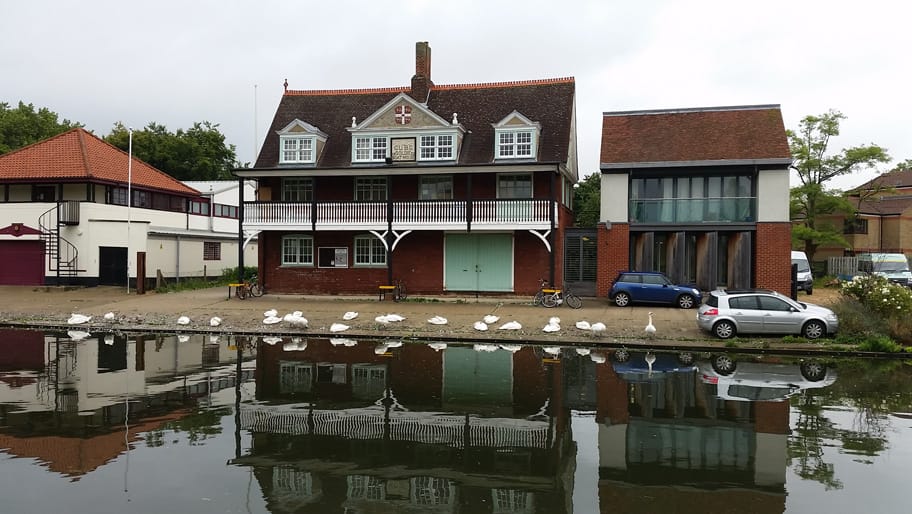 Swans settle down for the night outside the Goldie Boathouse